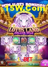 Experiência VIP 5L Bet